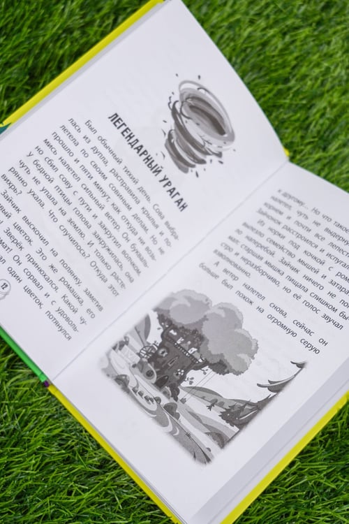 Дополнительное изображение книги «Пугашки. Лесные истории»