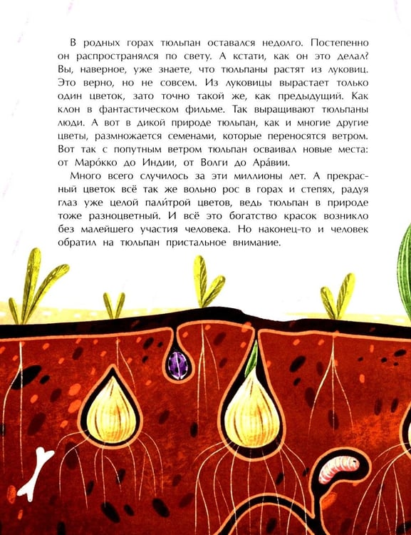 Дополнительное изображение книги «Тюльпан. Цветок султанов и мельников. Вып. 183. 3-е изд»