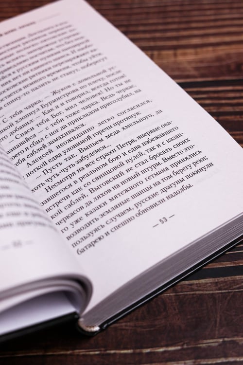 Дополнительное изображение книги «Ромодановский шлях. Начало»