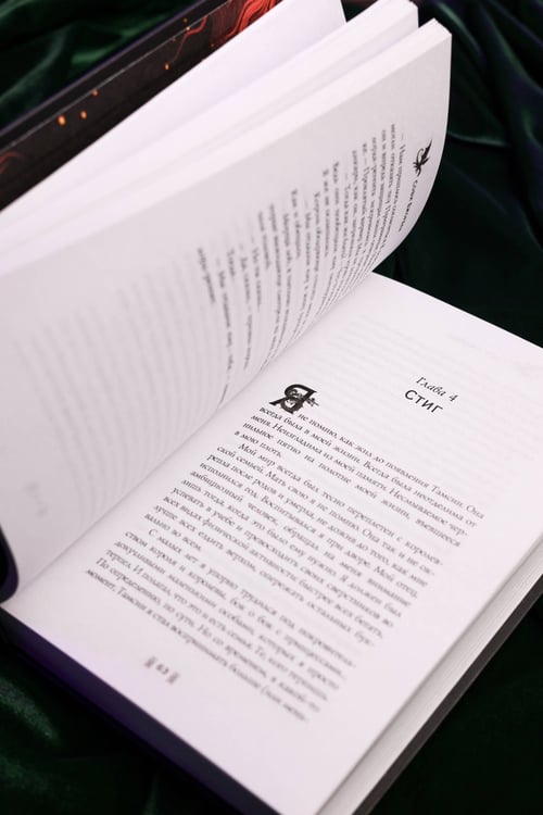 Дополнительное изображение книги «Пламя в небе»