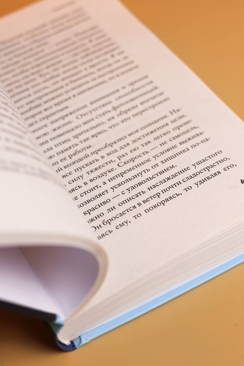 Дополнительное изображение книги «Психопомп. Невозможное возвращение»