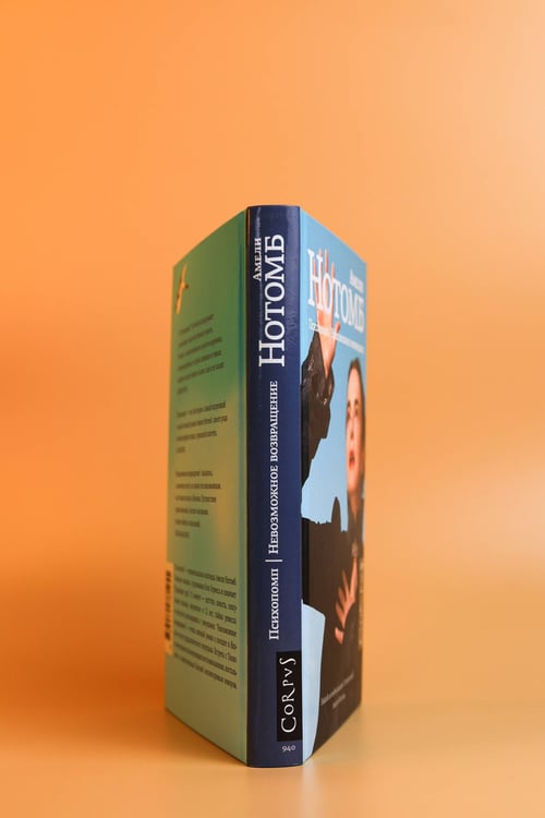 Дополнительное изображение книги «Психопомп. Невозможное возвращение»