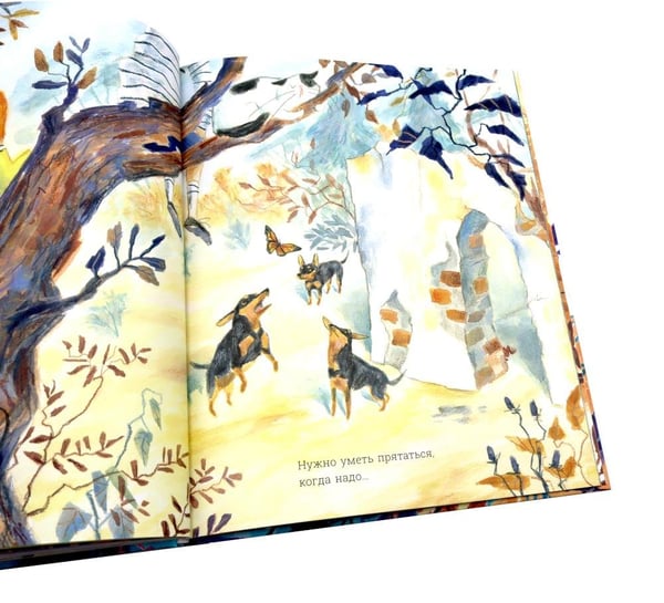 Дополнительное изображение книги «Поймать волшебную жабу»