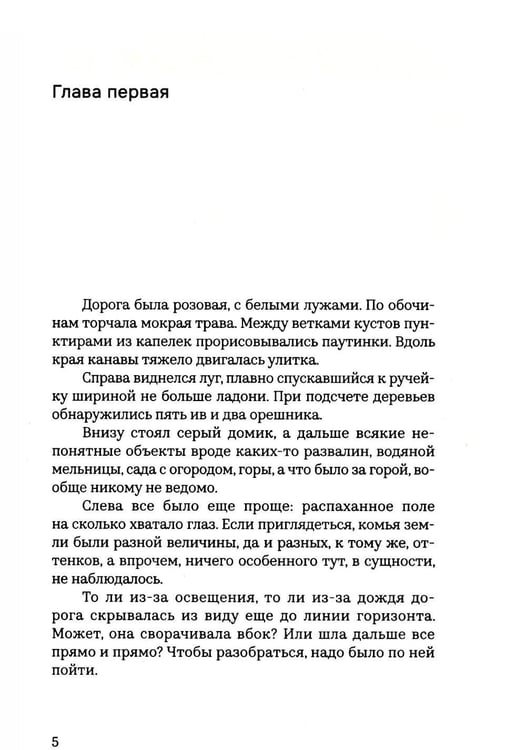 Дополнительное изображение книги «Принцесса Ангина»