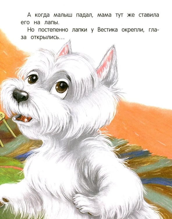 Дополнительное изображение книги «Вестик и любовь мамы»