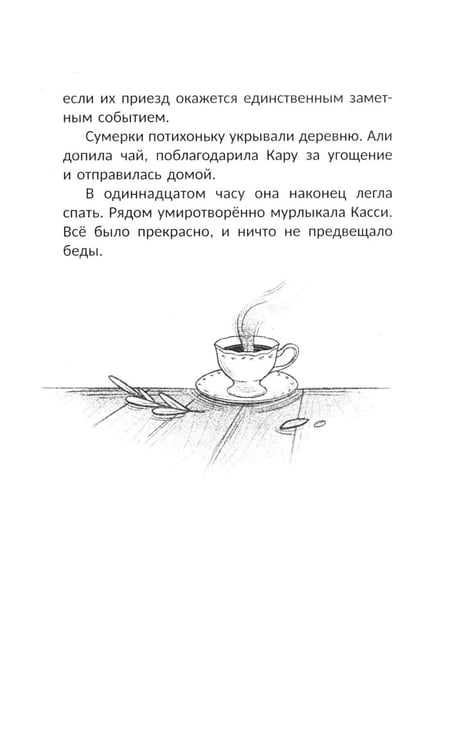 Дополнительное изображение книги «Граница между нами»