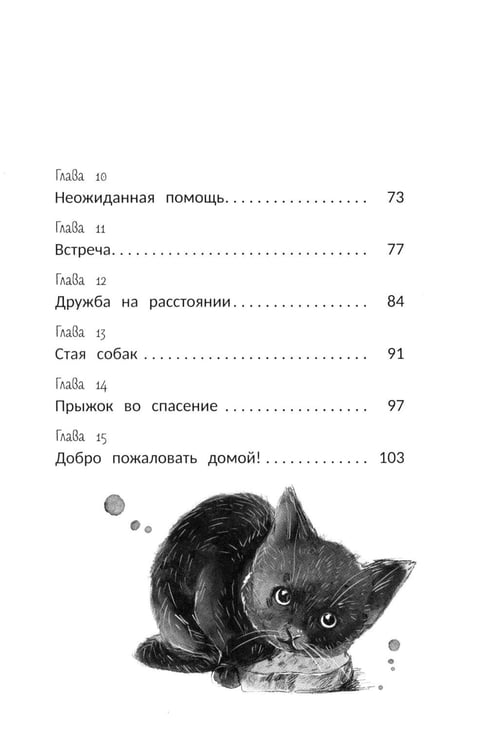 Дополнительное изображение книги «На счастье»