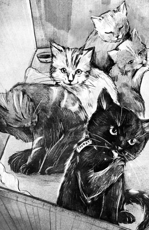 Дополнительное изображение книги «На счастье»