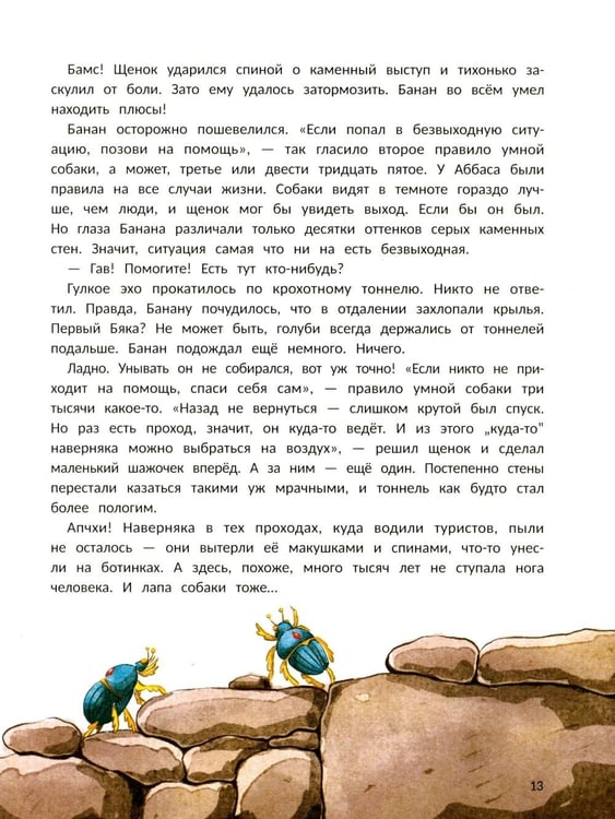 Дополнительное изображение книги «Пес Банан, покоритель пирамид»
