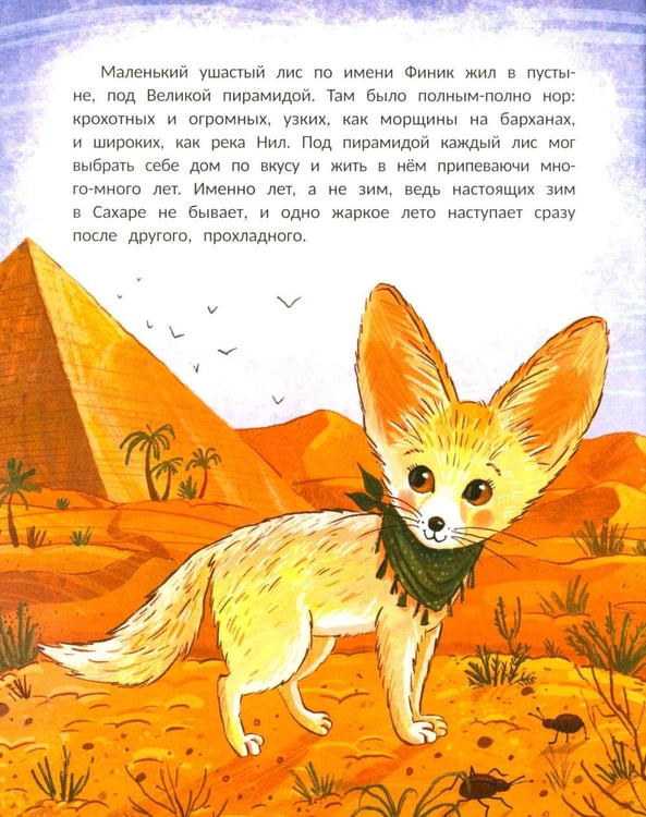 Дополнительное изображение книги «Финик, посмотри вокруг!»