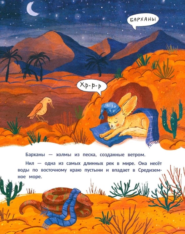 Дополнительное изображение книги «Финик, посмотри вокруг!»