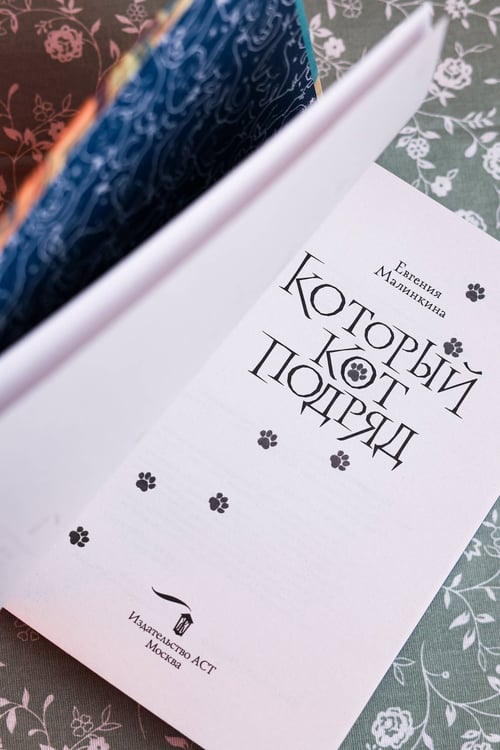 Дополнительное изображение книги «Который кот подряд»