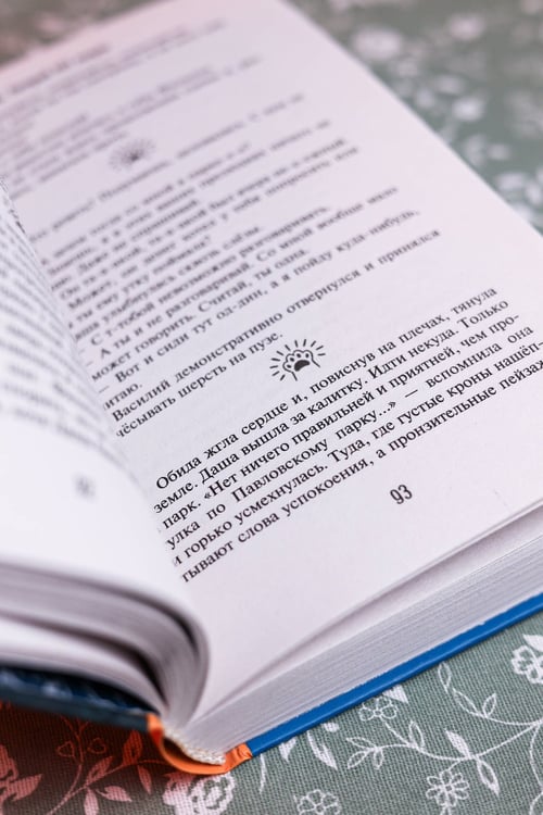 Дополнительное изображение книги «Который кот подряд»