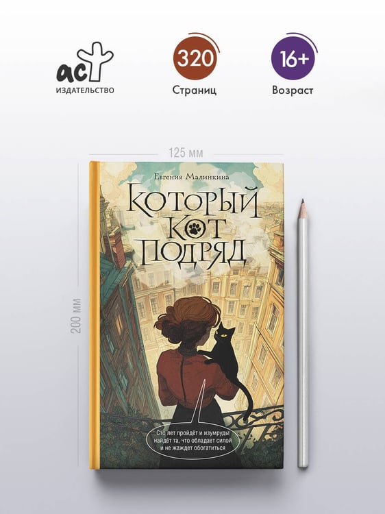 Дополнительное изображение книги «Который кот подряд»