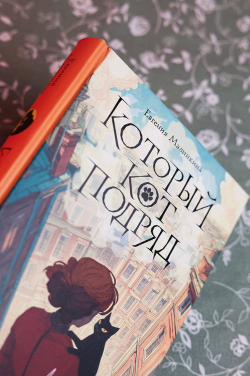 Дополнительное изображение книги «Который кот подряд»