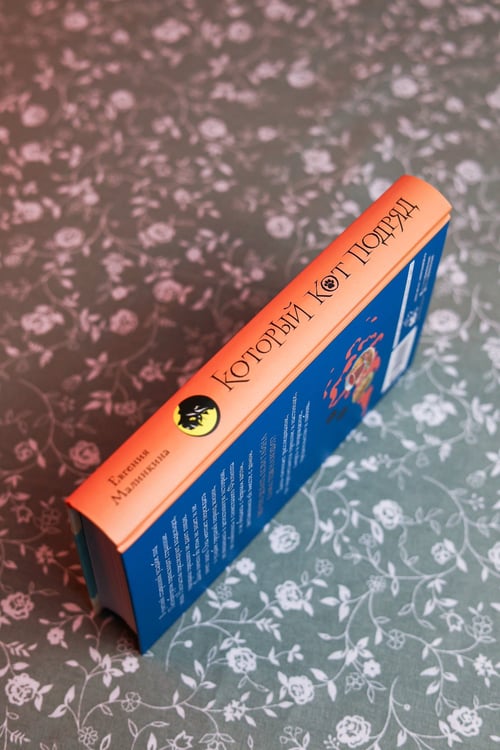 Дополнительное изображение книги «Который кот подряд»
