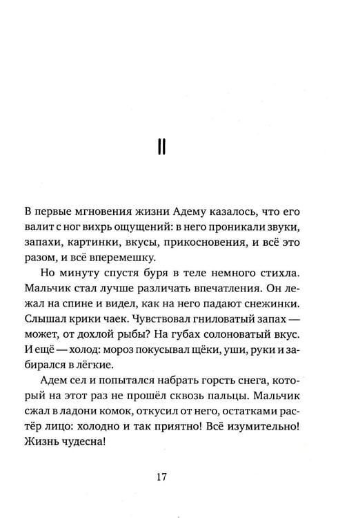 Дополнительное изображение книги «Мальчик, который любил мир»