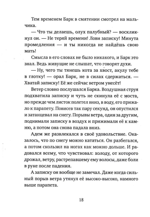 Дополнительное изображение книги «Мальчик, который любил мир»