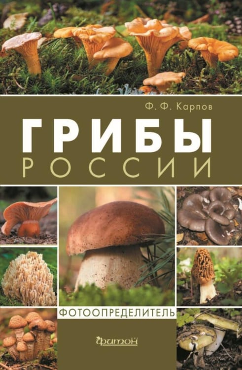 Дополнительное изображение книги «Грибы России. Фотоопределитель»