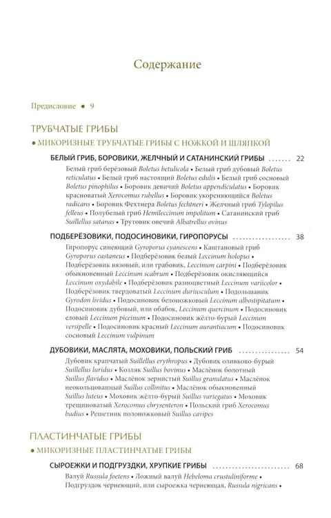 Дополнительное изображение книги «Грибы России. Фотоопределитель»