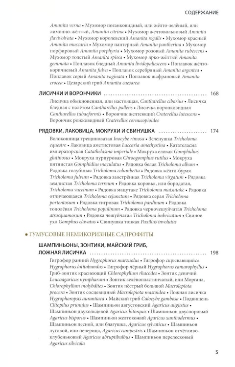 Дополнительное изображение книги «Грибы России. Фотоопределитель»