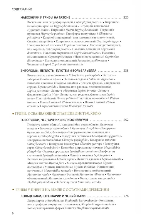 Дополнительное изображение книги «Грибы России. Фотоопределитель»