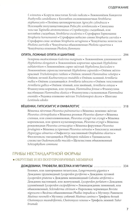 Дополнительное изображение книги «Грибы России. Фотоопределитель»