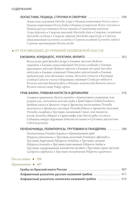 Дополнительное изображение книги «Грибы России. Фотоопределитель»