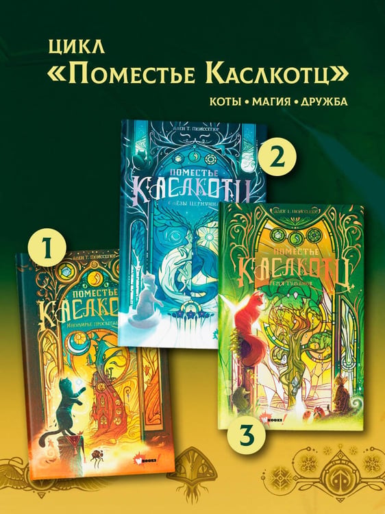 Дополнительное изображение книги «Поместье Каслкотц. Время туманов»
