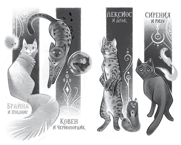Дополнительное изображение книги «Поместье Каслкотц. Время туманов»