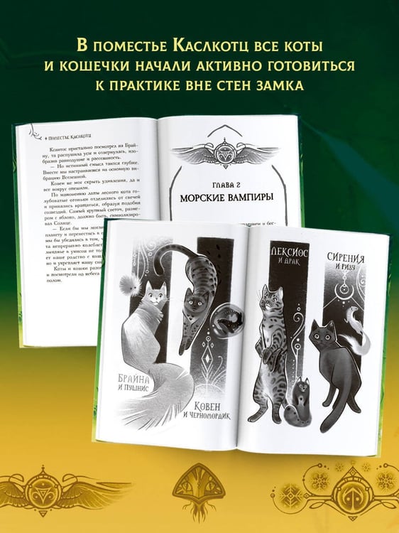 Дополнительное изображение книги «Поместье Каслкотц. Время туманов»