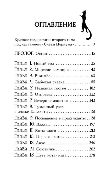 Дополнительное изображение книги «Поместье Каслкотц. Время туманов»