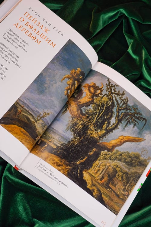 Дополнительное изображение книги «Прогулки по Пушкинскому музею»