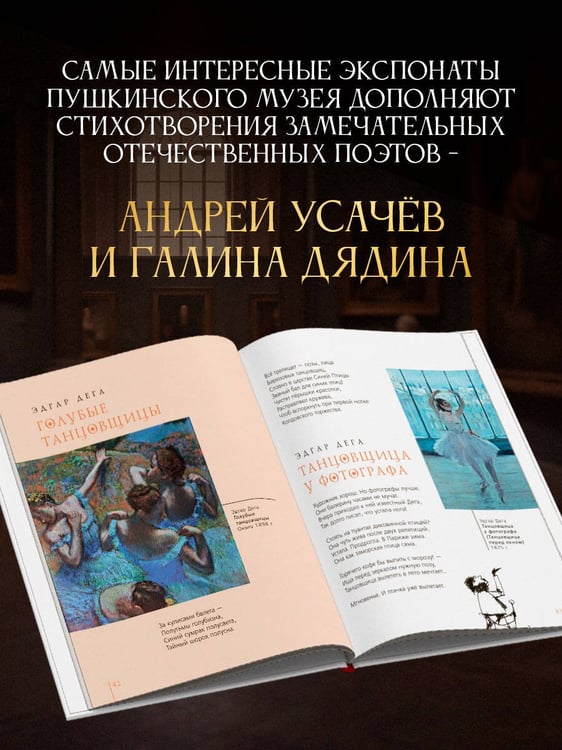 Дополнительное изображение книги «Прогулки по Пушкинскому музею»