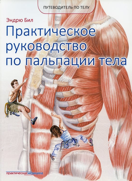Дополнительное изображение книги «Практическое руководство по пальпации тела»