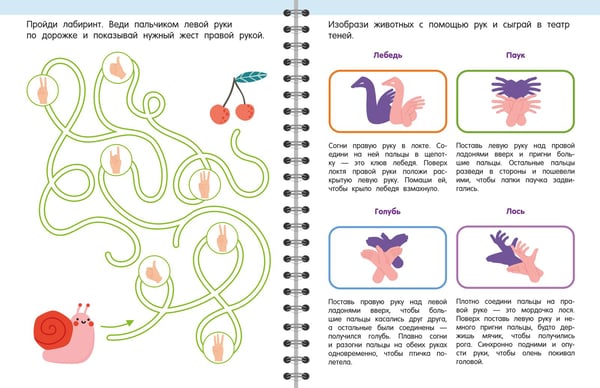 Дополнительное изображение книги «Гимнастика. Развиваем координацию. 3-5 лет»