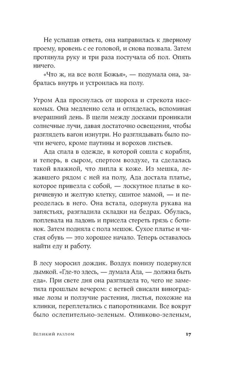Дополнительное изображение книги «Великий разлом: роман»