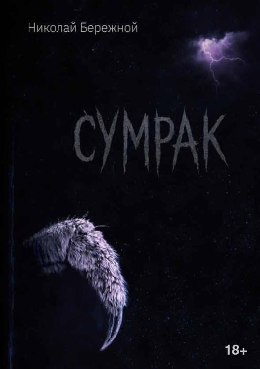 Обложка книги «Сумрак» — Бережной Николай Владиленович, ISBN 9785006104631