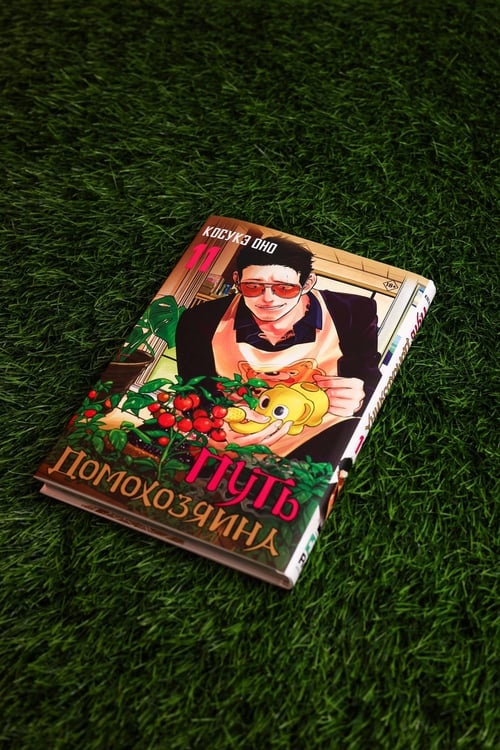Дополнительное изображение книги «Путь домохозяина. Том 11»