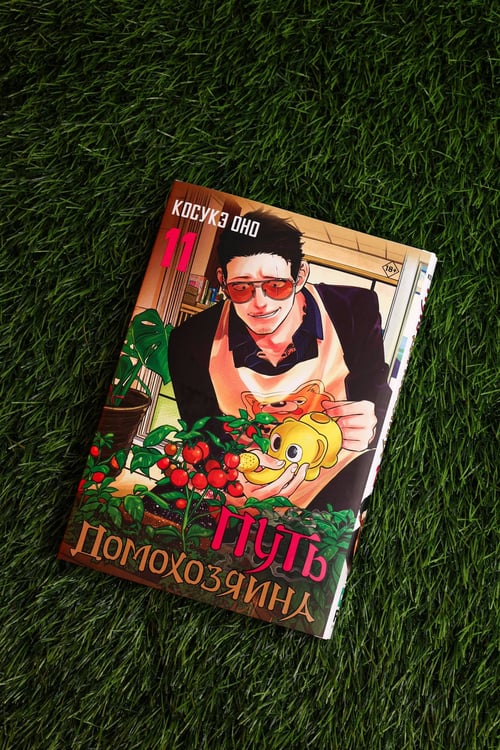 Дополнительное изображение книги «Путь домохозяина. Том 11»