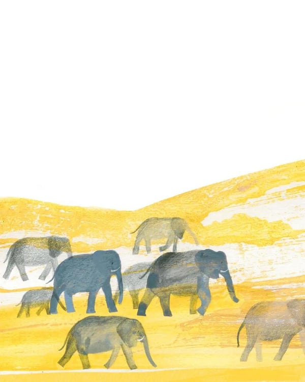 Дополнительное изображение книги «Саннани и его сны»
