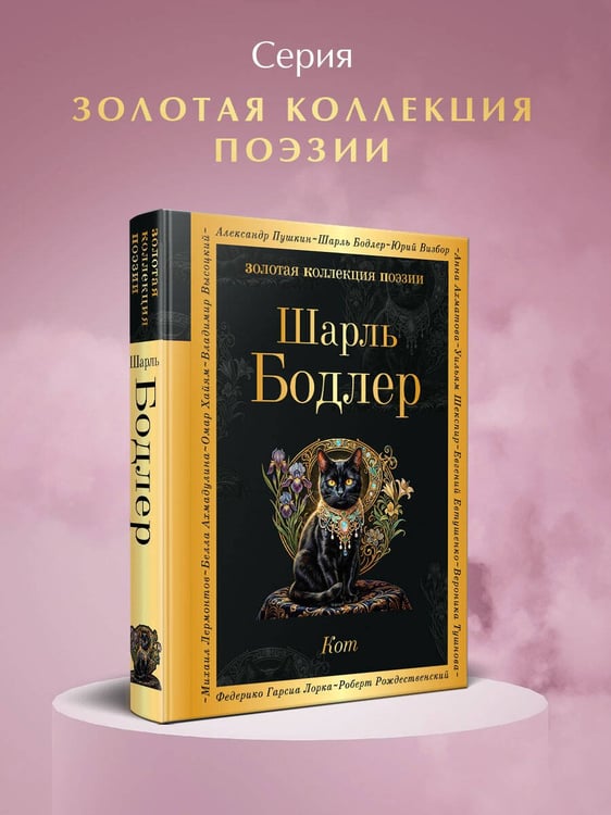 Дополнительное изображение книги «Кот»