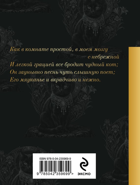 Дополнительное изображение книги «Кот»