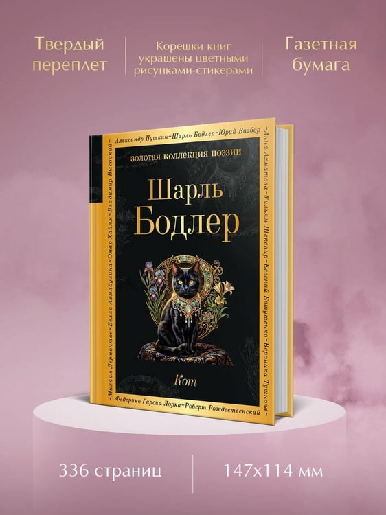 Дополнительное изображение книги «Кот»