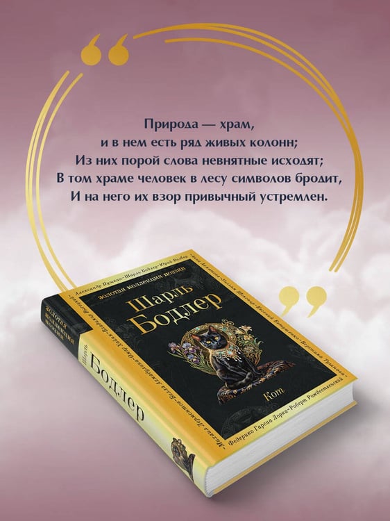 Дополнительное изображение книги «Кот»