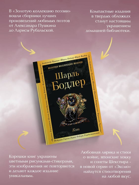 Дополнительное изображение книги «Кот»