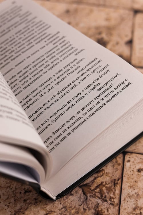 Дополнительное изображение книги «Одиссея»