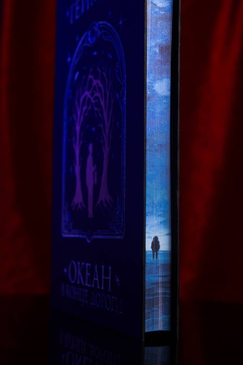 Дополнительное изображение книги «Океан в конце дороги»