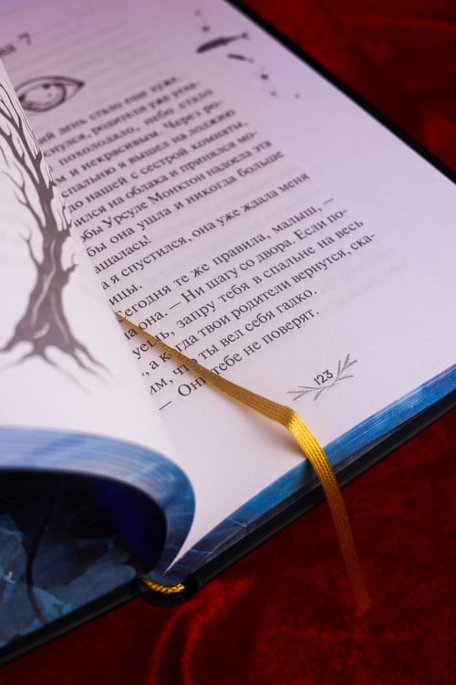 Дополнительное изображение книги «Океан в конце дороги»