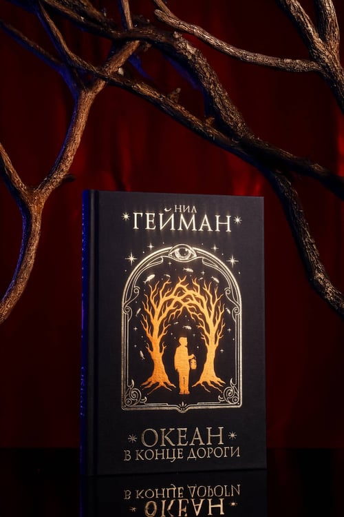 Дополнительное изображение книги «Океан в конце дороги»